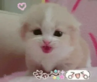 🌟 emoji ямете кудасай Telegram sticker 18 of 113