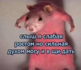 🐁 emoji мемодел (ct) Telegram sticker 19 of 83