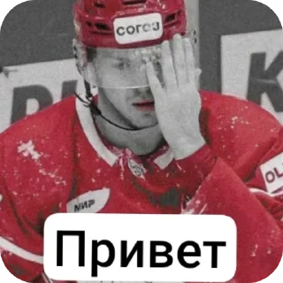 Sticker from HCSpartak❤️🤍 by @Sonixez