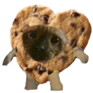 🍪 emoji puma Telegram sticker 5 of 10