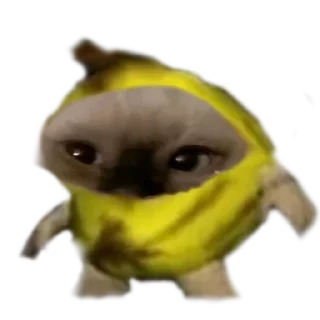 🍌 emoji puma Telegram sticker 8 of 10
