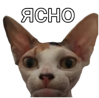 Sticker from Ладно