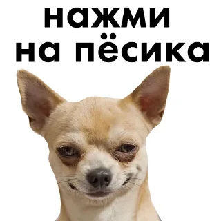 🏳️‍🌈 emoji ты — пидор Telegram sticker 9 of 9
