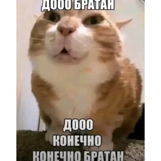 💯 emoji Потужно Telegram sticker 24 of 79