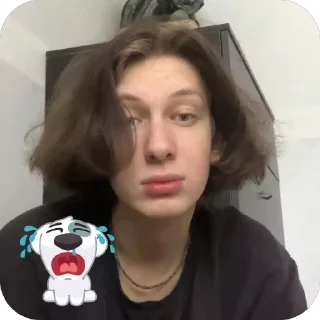 Sticker from снежный эль