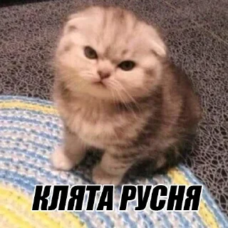 Sticker from Клята русня