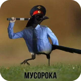 😢 emoji Смешные животные Telegram sticker 11 of 49