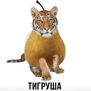 🌟 emoji Смешные животные Telegram sticker 23 of 49