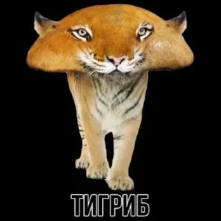 🌟 emoji Смешные животные Telegram sticker 24 of 49