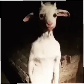 🐐 emoji Стикири от ивана Telegram sticker 3 of 8