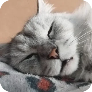 👍 emoji Whis Telegram sticker 14 of 20
