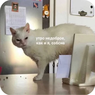 ☀️ emoji Стикерочки Telegram sticker 14 of 103