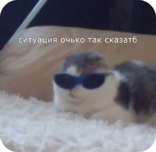 😭 emoji Стикерочки Telegram sticker 7 of 103