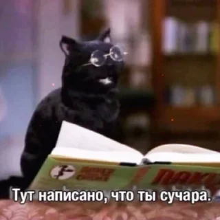 🤓 emoji Ваный беспредел Telegram sticker 1 of 47