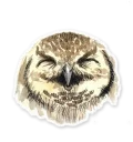 Sticker from Owls