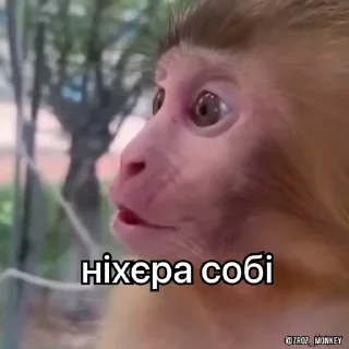 😮 emoji Пенсил манковичий пон Telegram sticker 5 of 77