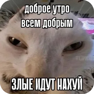 🖼 emoji хз @Agent_00007 Telegram sticker 13 of 98