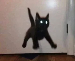😱 emoji котики х2 | @sutqi & @emojis4 Telegram sticker 9 of 100