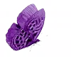 💜 emoji 💜 : purple • @moomv Telegram sticker 14 of 200