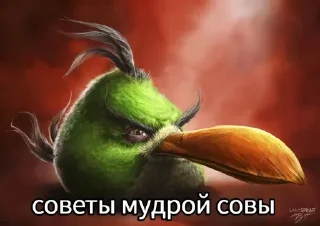 🌟 emoji Энгри Бёрдс Птички Telegram sticker 8 of 56