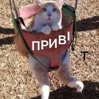 Sticker from Цвцжво