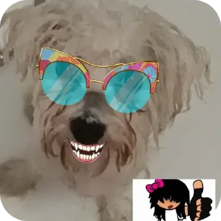😎 emoji собаки герыча Telegram sticker 13 of 34
