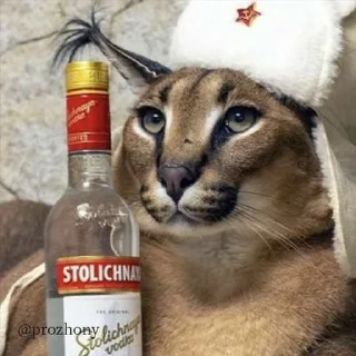 🗑️ emoji шлеп моя жена. Telegram sticker 13 of 15