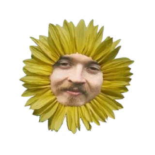 🧔 emoji Картоха Telegram sticker 15 of 15