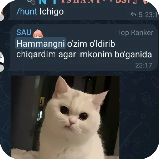 🐱 emoji Cringe stickers @Absolute_Cinema_PAK Telegram sticker 8 of 33