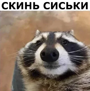 👙 emoji о да души меня Рина, души. Telegram sticker 9 of 37
