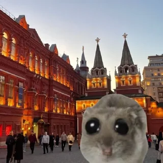 🌟 emoji moscow homyak @khadizzhaaa Telegram sticker 24 of 25