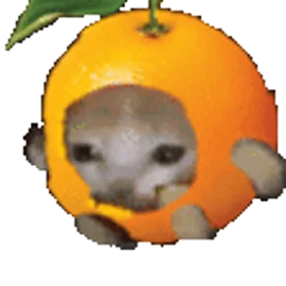 🍊 emoji 🫐больше тут➡️ @emojipipka Telegram sticker 5 of 50