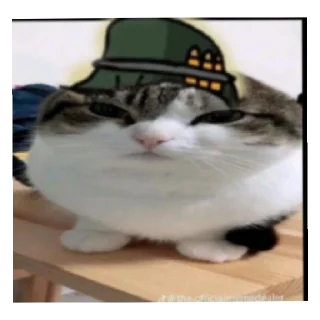 😄 emoji КОШАКИ 3 СЕЗОН Telegram sticker 15 of 29