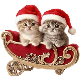 🎅 emoji Зимние котики @Nyasticks Telegram sticker 16 of 34