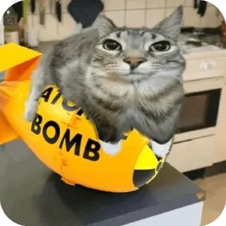 💣 emoji зазу кет Telegram sticker 10 of 81