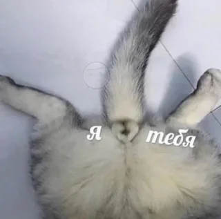 ❤️ emoji стики mки Telegram sticker 15 of 35