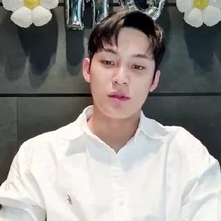 🐶 emoji mingyu @svtwe Telegram sticker 11 of 35