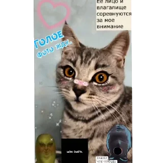 🥵 emoji Уши победа трусы Telegram sticker 18 of 61
