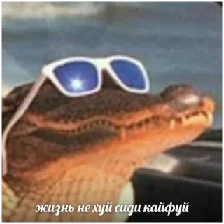 😎 emoji голодные студенты студик съели Telegram sticker 20 of 55