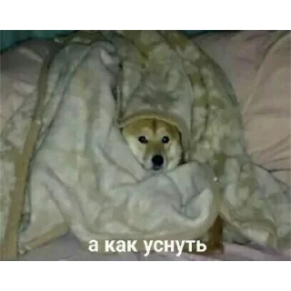 😴 emoji голодные студенты студик съели Telegram sticker 23 of 55