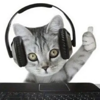 👍 emoji кетики 🐈🐈‍⬛🐈🐈‍⬛🐈🐈‍⬛🐈🐈‍⬛ Telegram sticker 5 of 31