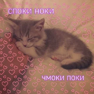 🥰 emoji Serious Squid Telegram sticker 18 of 25