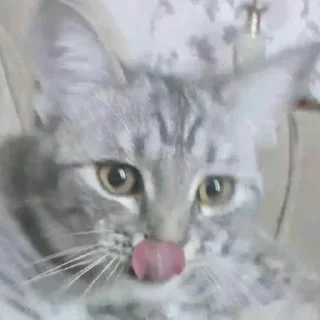 😏 emoji китики Telegram sticker 23 of 42