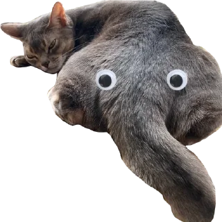 👀 emoji китики Telegram sticker 7 of 21
