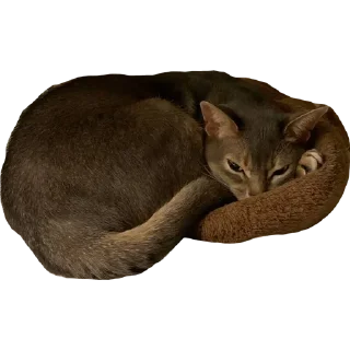 🧶 emoji китики Telegram sticker 5 of 21