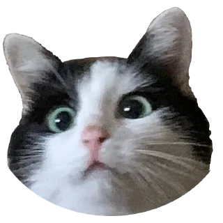 😊 emoji китики Telegram sticker 13 of 21
