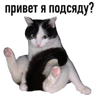 👋 emoji китики Telegram sticker 18 of 21