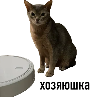 🤖 emoji китики Telegram sticker 16 of 21