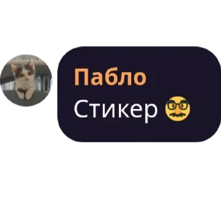 Sticker from Стикеры (сделал @korolpupsikov ) @Popandopulus2008