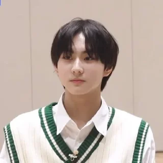 ✖️ emoji чонвон | @jkslsmlsfvwlslxk Telegram sticker 11 of 20